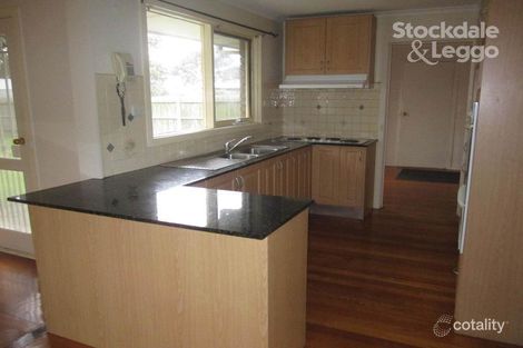 Property photo of 20 Orloff Close Clayton South VIC 3169
