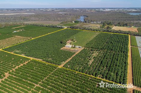 6376 Sturt Hwy, Trentham Cliffs, NSW 2738