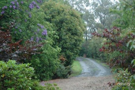 Property photo of 117 Grose Road Faulconbridge NSW 2776