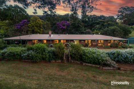 Property photo of 49 Justelius Road Meerschaum Vale NSW 2477