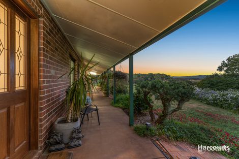 Property photo of 49 Justelius Road Meerschaum Vale NSW 2477