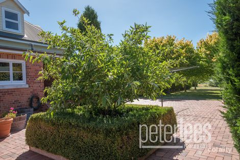 Property photo of 12 Weetman Street Legana TAS 7277