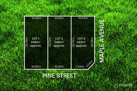 Property photo of 1 Pine Street Royal Park SA 5014