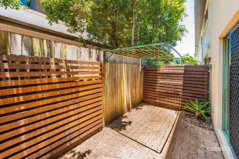 Property photo of 6/15 Tolman Court Maroochydore QLD 4558