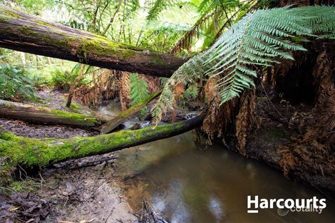 Property photo of 48 Jay Dee Road Glengarry TAS 7275