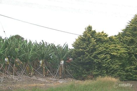 195-199 Coramba Rd, Coffs Harbour, NSW 2450