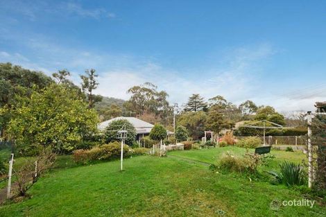 Property photo of 11 Pauline Avenue Tecoma VIC 3160