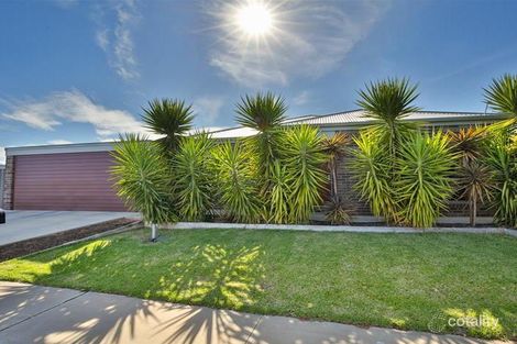 19 Anne Cox Dr, Red Cliffs, VIC 3496