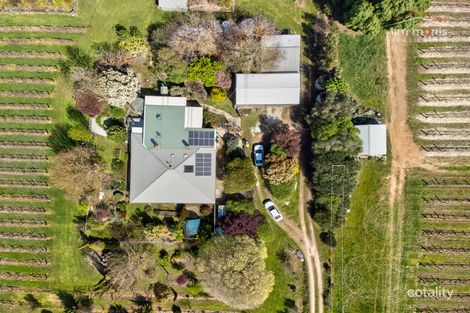 Property photo of 8271 Horrocks Highway Gillentown SA 5453