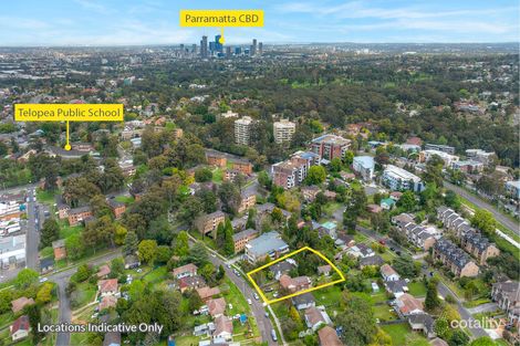 Property photo of 9 Fig Tree Avenue Telopea NSW 2117