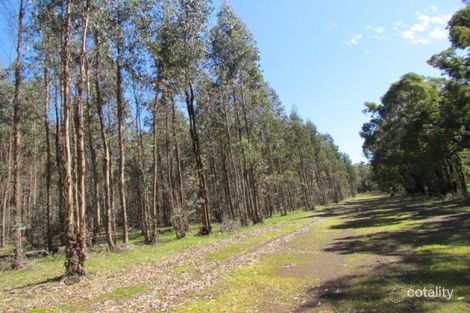 Lot 149 Mcavoy Rd, Allanson, WA 6225