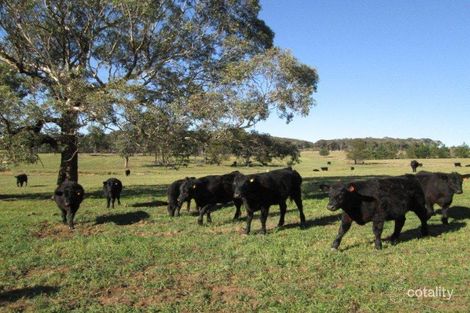 19341 Hume Hwy, Yarra, NSW 2580