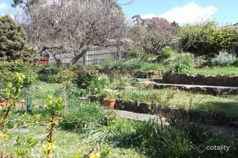 Property photo of 3 Bain Terrace Trevallyn TAS 7250