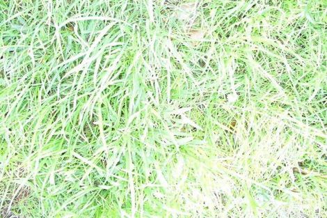 79 Hayfield Rd, Roxburgh Park, VIC 3064