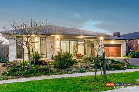 Property photo of 24 Hanworth Avenue Williams Landing VIC 3027