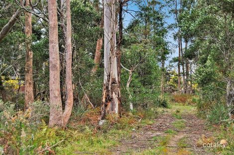 673 Western Creek Rd, Western Creek, TAS 7304