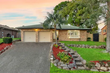 Property photo of 56 Palatine Street Calamvale QLD 4116