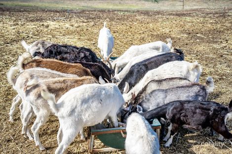 4139 Victor Harbor Rd, Hindmarsh Valley, SA 5211