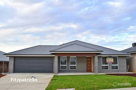 20 Darcy Dr, Boorooma, NSW 2650