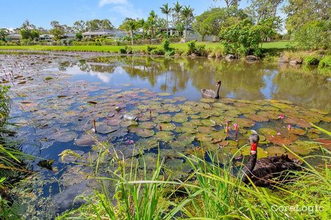 Property photo of 12 Steyning Court Arundel QLD 4214