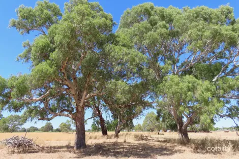 8283 Clay Wells Rd, Penola, SA 5277