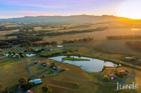 547 Old North Rd, Rothbury, NSW 2320