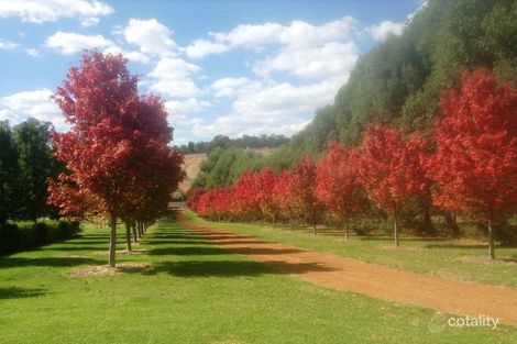 264 Southampton Rd, Balingup, WA 6253