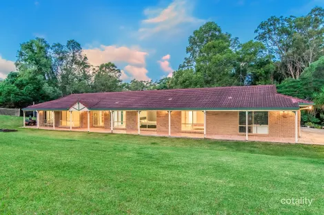 Property photo of 41 Crane Crescent Nerang QLD 4211