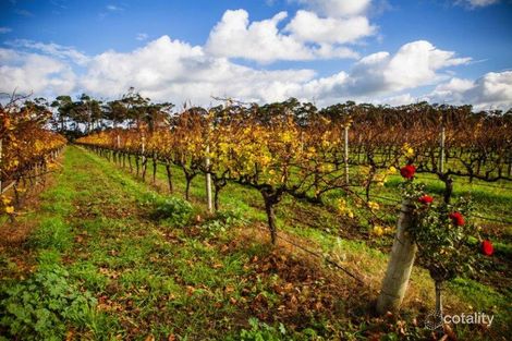 Property photo of 6 Plankton Street Vasse WA 6280