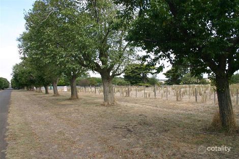 Property photo of 5 Ritchie Street Caramut VIC 3274