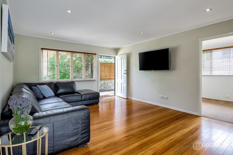 Property photo of 58 Dobbs Street Holland Park West QLD 4121