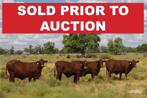 28525 Kamilaroi Hwy, Burren Junction, NSW 2386