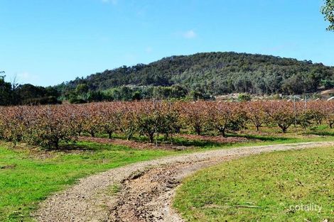 Property photo of 561 Crystal Creek Road Whanregarwen VIC 3714