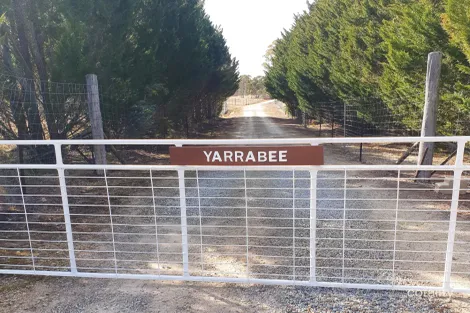 Property photo of 8352 Kings Highway Manar NSW 2622