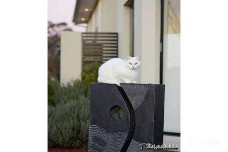 Property photo of 21 Kings Canyon Street Harrison ACT 2914