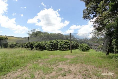 Property photo of 53 Atkinsons Road Woombye QLD 4559