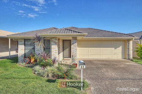 Property photo of 66 Menser Street Calamvale QLD 4116