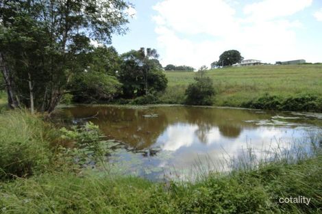 Property photo of 53 Atkinsons Road Woombye QLD 4559