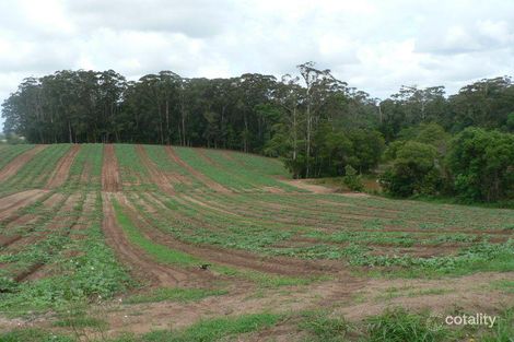 Property photo of 53 Atkinsons Road Woombye QLD 4559