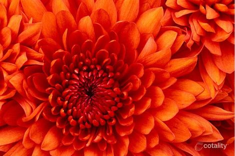 31 Roe St, Gingin, WA 6503