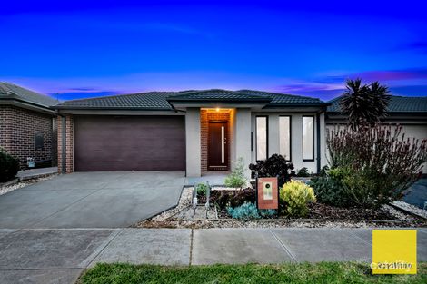 6 Tomago St, Tarneit, VIC 3029