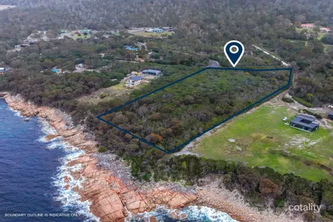 Property photo of 255 Harveys Farm Road Bicheno TAS 7215