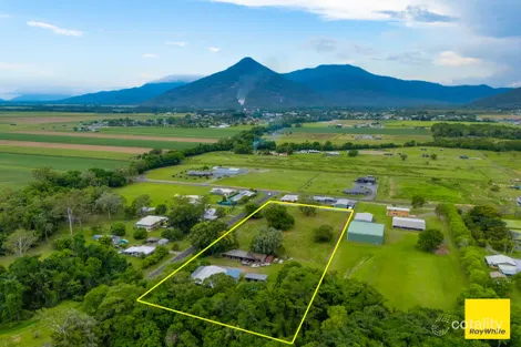 Property photo of 17 Littles Road Gordonvale QLD 4865