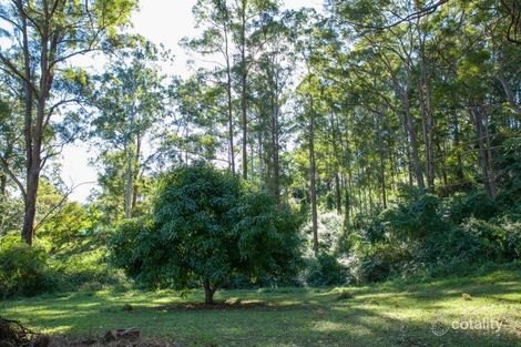 Property photo of 4888 Kyogle Road Wadeville NSW 2474