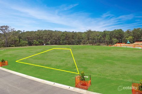 Property photo of 6 Kurrajong Close Mooloolah Valley QLD 4553