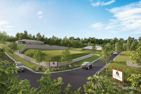 Property photo of 6 Kurrajong Close Mooloolah Valley QLD 4553