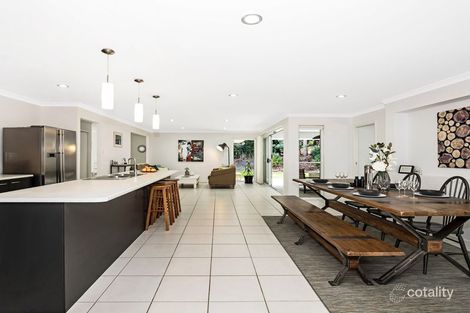 Property photo of 6 Bellbird Court Cedar Creek QLD 4520