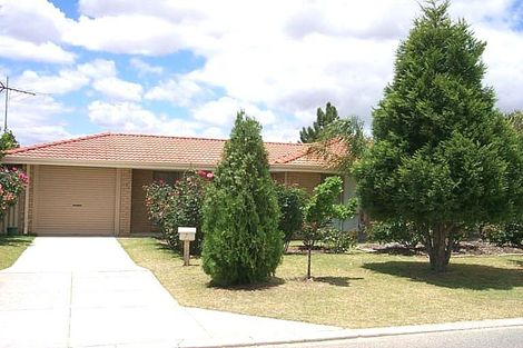 7 Knaphill Hts, Mirrabooka, WA 6061