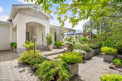 Property photo of 42 Kathleen Crescent Vasse WA 6280