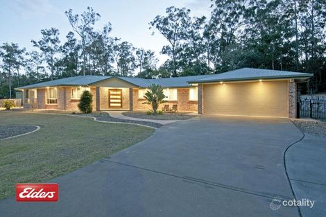 Property photo of 31 Daintree Road Cornubia QLD 4130